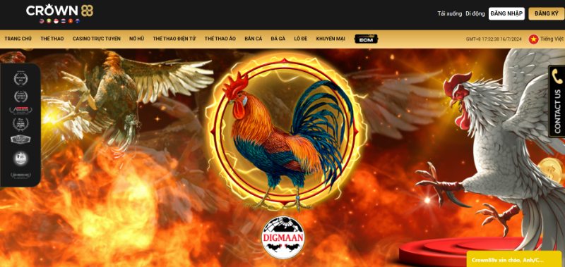 Crown88 - Nhà cái cá cược hàng đầu tới từ đảo quốc sư tử 4 Sản Phẩm Đá Gà Mang Đến Những Màn Cược Kê Ấn Tượng