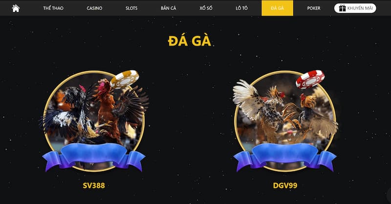 Mot88 - Sân chơi đẳng cấp, cá cược uy tín số 1 tại châu Á 5 Đá Gà